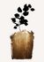 Photo Wallpaper Non-Woven Plants Leaves black gold 2