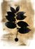 Photo Wallpaper Non-Woven Leaves Nature gold black 2