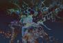 Photo Wallpaper Non-Woven Coral Abstract blue black 2