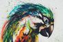 Photo Wallpaper Non-Woven Parrots Abstract colourful grey 2