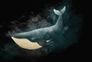Photo Wallpaper Non-Woven Whale Sea Water blue black 2