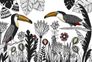 Photo Wallpaper Non-Woven Toucans Jungle Nature black 2