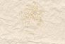 Photo Wallpaper Non-Woven Paper Face Flowers beige 2