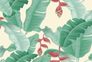 Photo Wallpaper Non-Woven Leaves Heliconias green beige 2