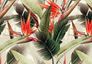Photo Wallpaper Non-Woven Jungle orange DD120242 2