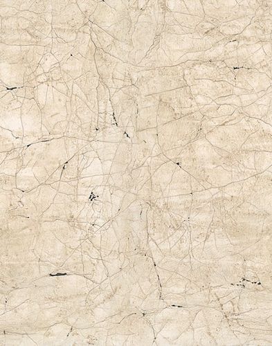 Digital Printing Stones Plaster beige brown 32756