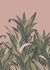 Picture Photo Wallpaper Rasch Fern Leaves pink green 542219 1