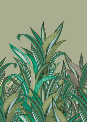 Picture Photo Wallpaper Rasch Fern Leaves green beige 542226