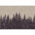 Image Photo Wallpaper Non-Woven Forest Trees taupe black 2