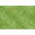 Picture Photo Wallpaper Non-Woven Flowers Botany green brown 2