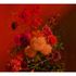 Image Photo Wallpaper Non-Woven Flowers Branches red orange 2