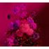 Image Photo Wallpaper Non-Woven Flowers Branches pink red 2