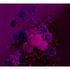 Image Photo Wallpaper Non-Woven Flowers Branches violet 2