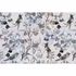 Image Photo Wallpaper Non-Woven Exotic Birds grey blue 2