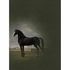 Image Photo Wallpaper Non-Woven Painting Horse black grey 2