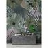 Picture Photo Wallpaper Non-Woven Hibiscus Flowers green purple 1