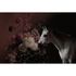 Picture Photo Wallpaper Non-Woven Horse Flowers Bouquet white 2