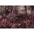 Image Photo Wallpaper Non-Woven Jungle Plants pink brown 2