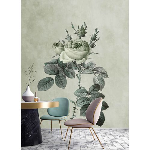 Image Photo Wallpaper Non-Woven Rose Flower Floral beige