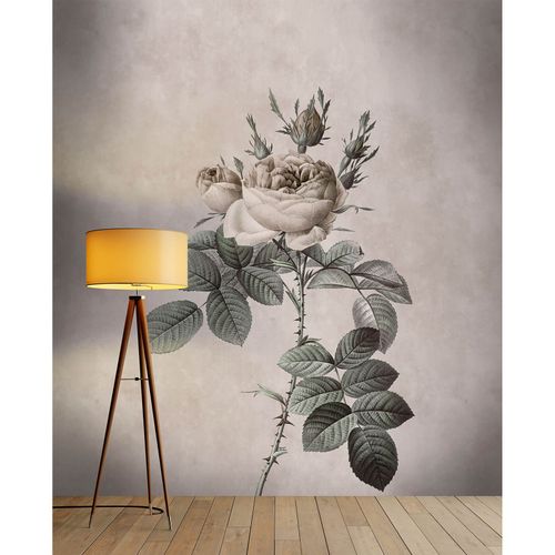 Image Photo Wallpaper Non-Woven Rose Flower Floral beige