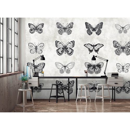 Image Photo Wallpaper Non-Woven Butterflies Picture Map grey