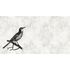 Picture Photo Wallpaper Non-Woven Bird Branch Nature grey black 2