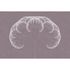Image Photo Wallpaper Non-Woven Dandelion Graphic taupe 2