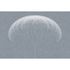 Picture Photo Wallpaper Non-Woven Dandelion Graphic blue white 2