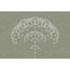 Picture Photo Wallpaper Non-Woven Dandelion Graphic green white 2
