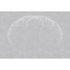 Picture Photo Wallpaper Non-Woven Dandelion Graphic grey white 2