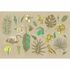 Picture Photo Wallpaper Non-Woven Tropic Flamingo beige green 2