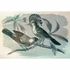 Picture Photo Wallpaper Non-Woven Birds Tropic cream black 2