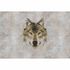 Picture Photo Wallpaper Non-Woven Wolf Combs grey brown 2