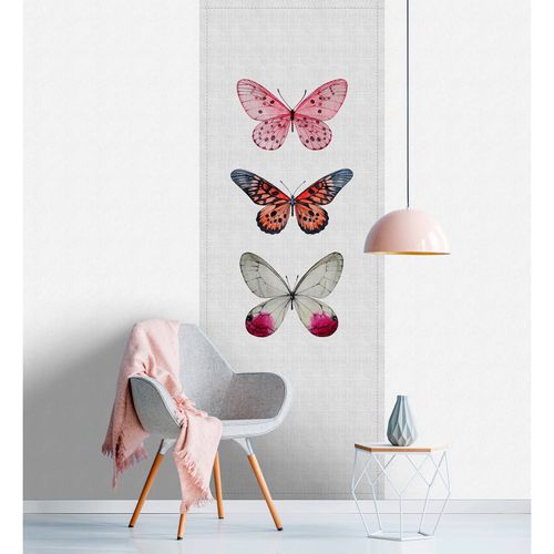 Picture Photo Wallpaper Panel Non-Woven Butterflies grey