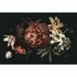 Image Photo Wallpaper Non-Woven Rose Flower red black 2