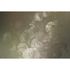 Picture Photo Wallpaper Non-Woven Flowers Checked taupe 2