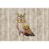 Picture Photo Wallpaper Non-Woven Owl Wood beige brown 2