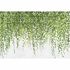 Picture Photo Wallpaper Non-Woven Floral Dots green grey 2