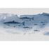 Picture Photo Wallpaper Non-Woven Fishes Sea blue grey 2