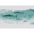 Image Photo Wallpaper Non-Woven Fishes Sea grey green 2