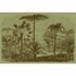 Picture Photo Wallpaper Non-Woven Jurassic Plants brown 2