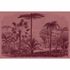 Image Photo Wallpaper Non-Woven Jurassic Plants pink red 2