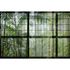 Image Photo Wallpaper Non-Woven Window Jungle green 2