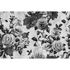 Image Photo Wallpaper Non-Woven Roses Floral grey black 2