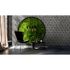 Picture Photo Wallpaper Non-Woven 3D Concrete Flower Life grey 1