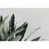 Image Photo Wallpaper Non-Woven Leaves Floral green grey 2