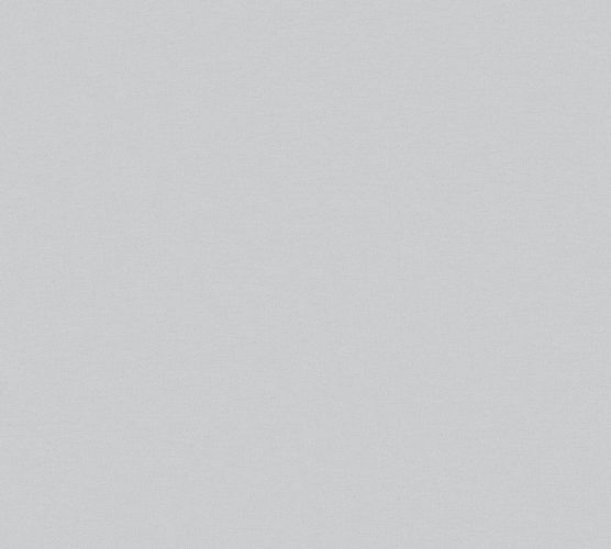 Photography Non-Woven Wallpaper Michalsky Structure grey 37986-4