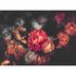 Photo Wallpaper Flowers Roses Floral orange red black 2