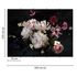 Picture Photo Wallpaper Flowers Blossoms Floral white pink black 3