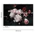 Photo Wallpaper Flowers Blossoms Floral white red black 3